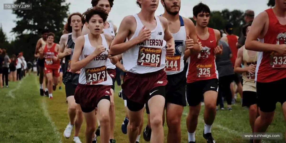 🎨创意周边，限量首发！🎁收藏热爱，让支持别具一格！